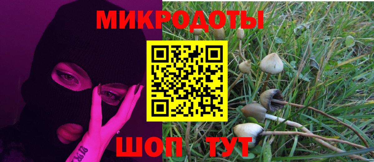 Куйбышев  Псилоцибиновые грибы Cubensis  Псилоцибиновые грибы GOLDEN TEACHER  Вход с VPN 